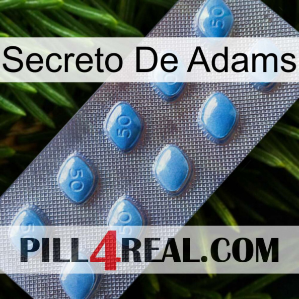 Adams Secret viagra3.jpg